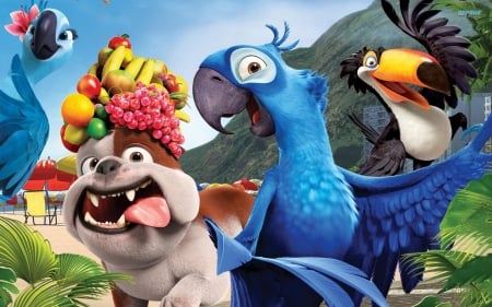 Rio (2011) - bird, rio, summer, macaw, poster, blue, dog, parrot, funny, fruit, movie, pasare