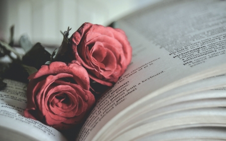 Rose - Rose, flower, nature, book