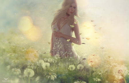 Girl - fantasy, summer, rendering, girl, meadow, dandelion, field, luminos