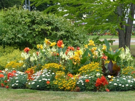 Flowers in the park - flowers, summer, colors, mix, park