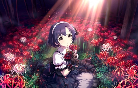 Shiragiku Hotaru - red, flower, tagme, spider lily, shiragiku hotaru, anime, girl, manga