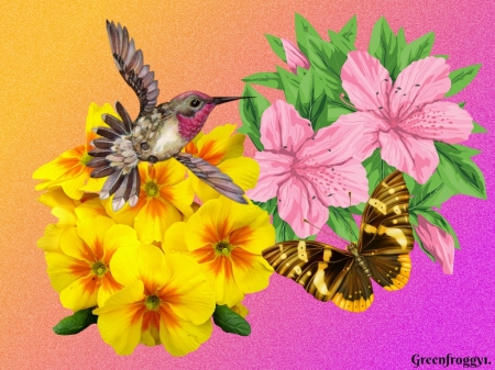 WONDERFUL NATURE - flowers, image, butterfly, bird