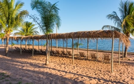 Ilha Beach, Brazil - palms, ocean, sand, beach