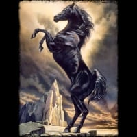 The Black Stallion - Horse