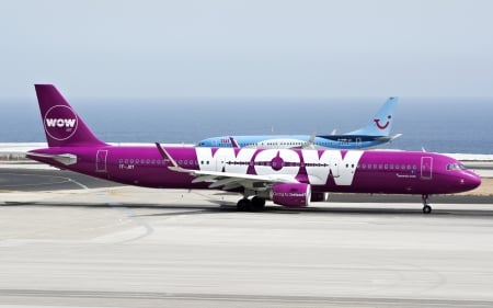 Purple Plane - love, purple, plane, beautiful