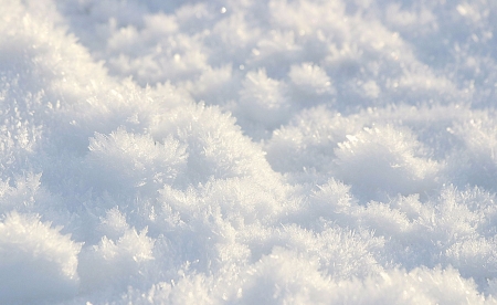 White - white, winter, nature, snow