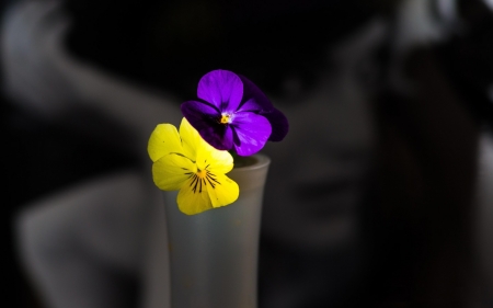 Violet and yellow - nature, love, yellow, violet