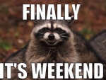 Racoon Celebrate Weekend