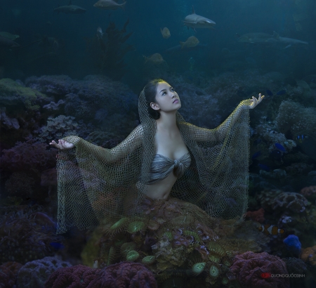 Mermaid - fantasy, sirena, mermaid, model, girl, woman, duongquocdinh