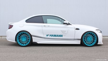 2017 Hamann BMW M2 - tuned, luxury, m2, car, tuning, hamann, bmw