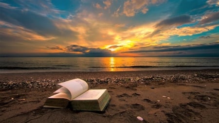 Book on the Beach - susnet, Book, on, the, Beach