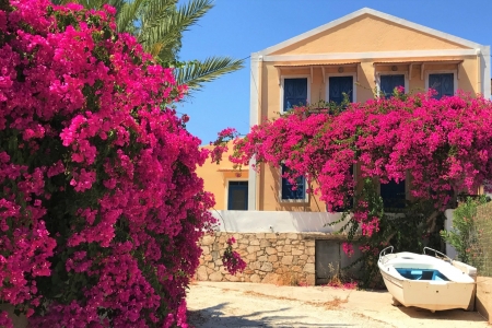 House in Greece - house, greece, in, flower