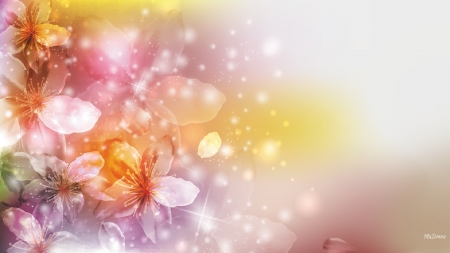 Summer Sensation - bokeh, soft, delicate, blooms, summer, shine, spring, abstract, peals, flowers, lights