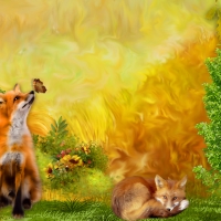 Fox & Butterflies