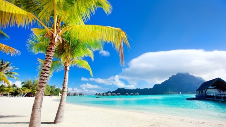 Bora Bora Beach - sky, landscape, clouds, palms, sea