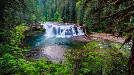 Forest waterfall - greenery, trees, water, waterfall, view, forest