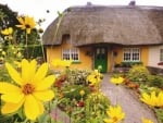 Irish Cottage Garden in Summer