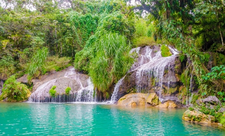 Beautiful waterfalls - el nicho, nice, cascades, trees, water, waterfalls, plants, foam, nature, cuba, amazing, cool, beautiful, awesome