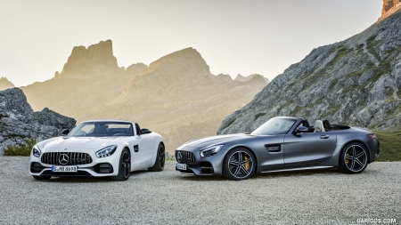 2018 Mercedes-AMG GT and GT C Roadsters - Car, GT C, GT, Sports, Mercedes, AMG, Roadsters