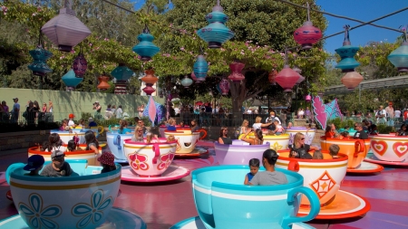 tea cups - ride, fun, tea, cups