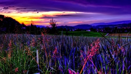 Colorful Sunset - nature, sky, hills, trees, clouds, field, mountains, sunset