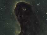 The Dust Monster in IC 1396