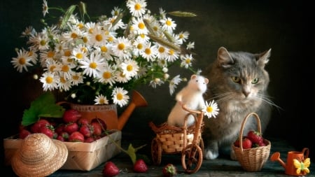 Cat and Mice - mice, still life, animals, cat