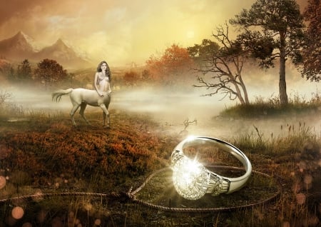 Centaur - ring, horse, rope, radoxist, jewel, girl, diamond, art, fantasy, centaur, luminos