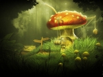 The mushroom