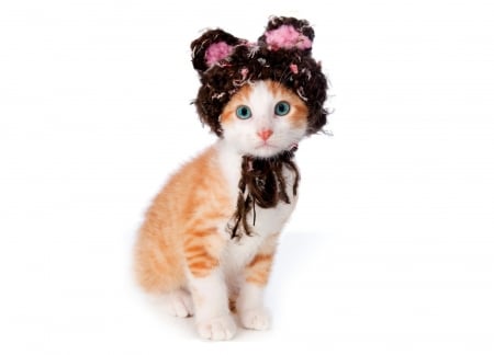 Kitten - hat, pink, sweet, cat, black, pisica, white, animal, kitten, cute