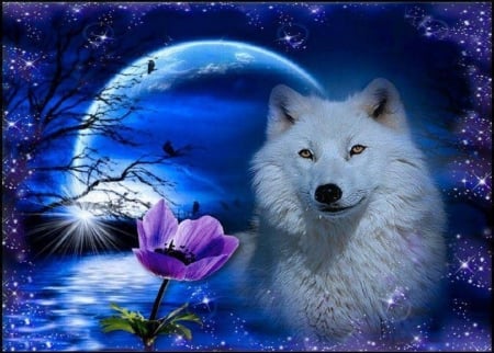 Wolf Night - moon, reflection, artwork, water, digital, flower