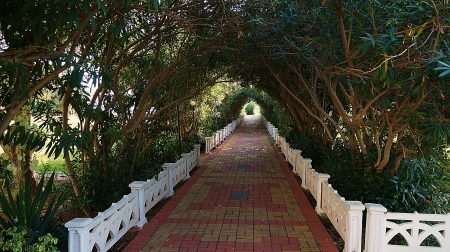 in your arms - melody, beach, garden, green, park