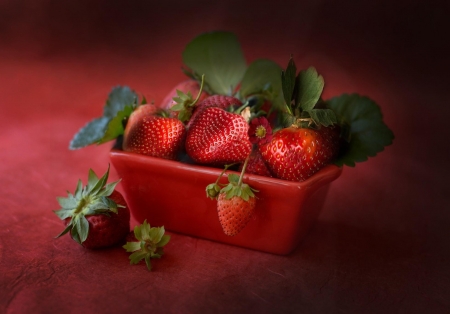 Strawberries - red, fruits, leaves, container, strawberries