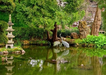 Japanese tea garden - garden, tea, nature, japanese