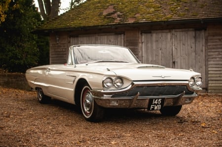 1965 Ford Thunderbird Convertible - car, muscle, old-timer, thunderbird, ford, convertible