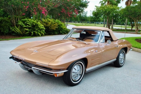 1964 Chevrolet Corvette Sting Ray 327 Convertible - Muscle, Car, Sports, Chevrolet, Corvette, 327, Convertible, Old-Timer, Sting Ray