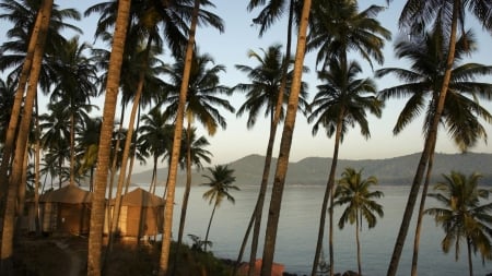 Palm Trees and Serenity Lake - nature, sky, lake, trees, mountains, palm