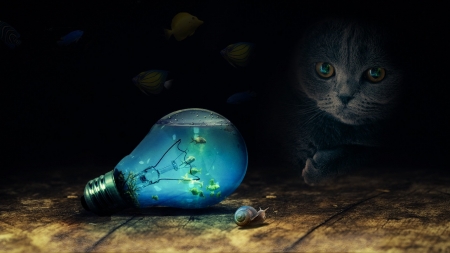 Cat Watching Fish in a Light Bulb