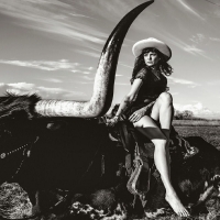 Real Cowgirls Ride Longhorns. .
