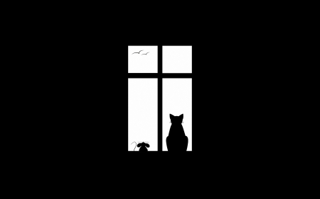 :-) - black, white, pisica, window, bw, mouse, minimalistic, cat