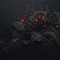 Burning Roses