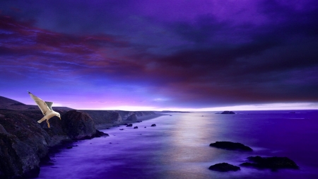 Purple Coast