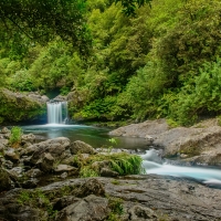 Small forest waterfall