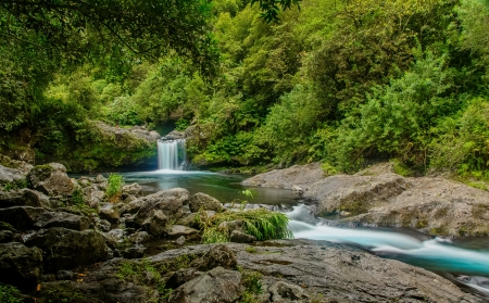 Small forest waterfall - trees, stream, greenery, waterfall, brook, creek, forest, stones, small