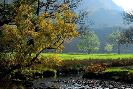 Autumn Begins - england, trees, mountain, stream, field, brook, rocks, creek, kent