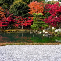 fall- Japan