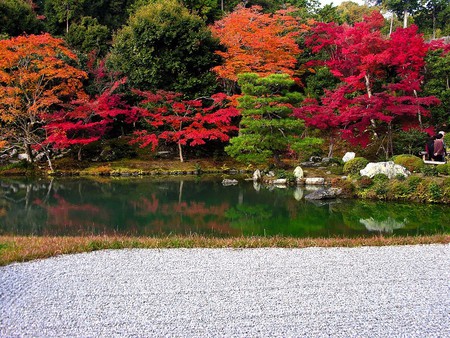 fall- Japan - fall, river, trees, nature