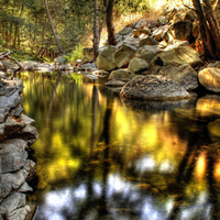 Beautiful Golden Calm River