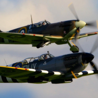 Spitfires