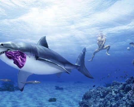 SharkFun - shark, ocean, man, water, shorts, funny